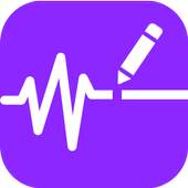 Wavepad Audio Editor 1.2.5