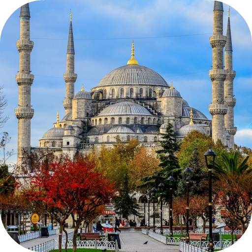 Blue Mosque Live Wallpaper 1.0