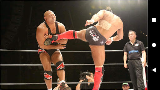 Wrestling Superstar Wallpapers screenshot 5