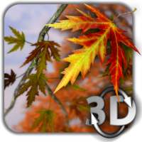 Autumn Leaves in HD Gyro 3D Parallax Wallpaper on 9Apps