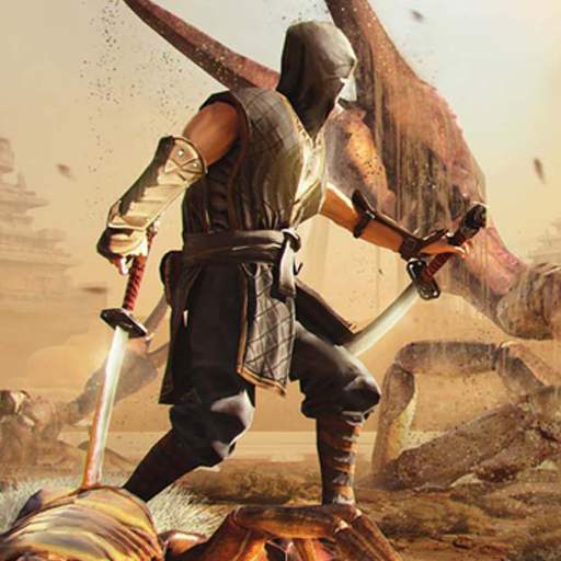 Ninja Combat : Samurai Warrior 1.01