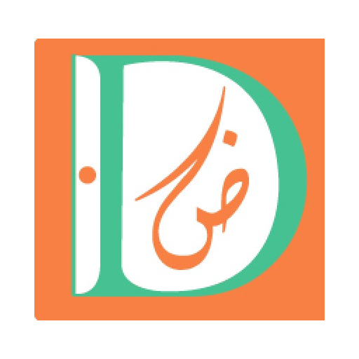Damen Pay icon