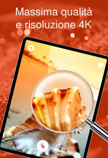Conchiglie - carta da parati screenshot 9
