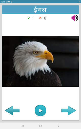 Learn Animals and Birds in Hin screenshot 13