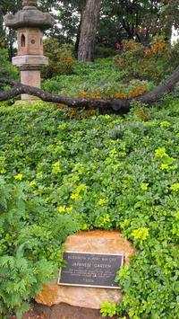 Garden Wallpaper 8 تصوير الشاشة