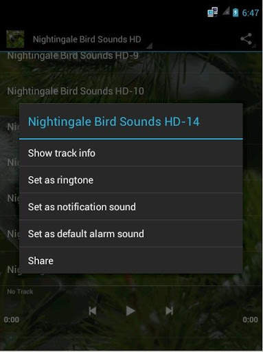 Nightingale Bird Sounds HD screenshot 3