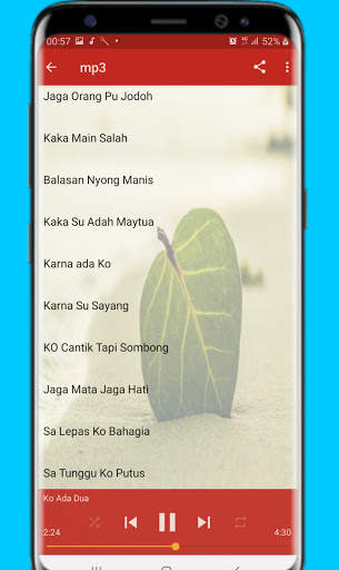 Lagu Timur Populer Offline screenshot 3