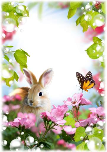 Photo Frame 2023 screenshot 14