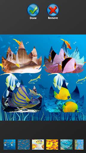 Fish Photo Collage Maker screenshot 3