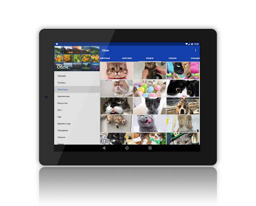 Обои screenshot 8
