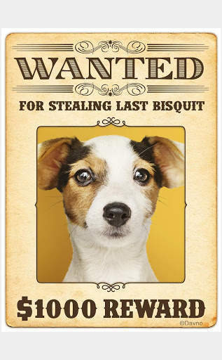 Wanted Poster Photo Editor screenshot 5
