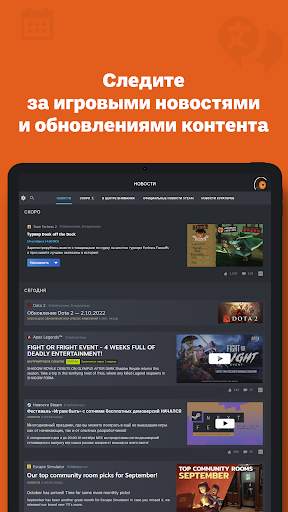 Steam скриншот 11