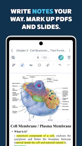 Vaia: Study help & AI tools screenshot 4