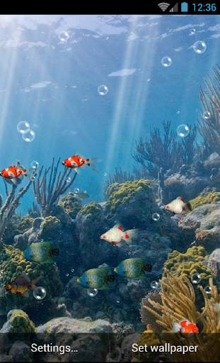 Aquarium Live Wallpaper screenshot 5