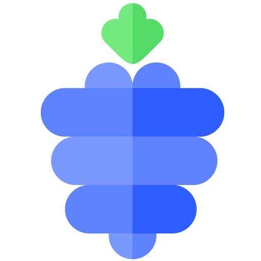 Raspberry Launcher 1.0.2