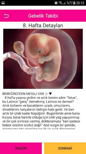 Gebelik Hamilelik Takibi 3 تصوير الشاشة
