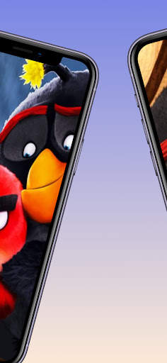 Angry Wallpaper Bird Screen HD स्क्रीनशॉट 2