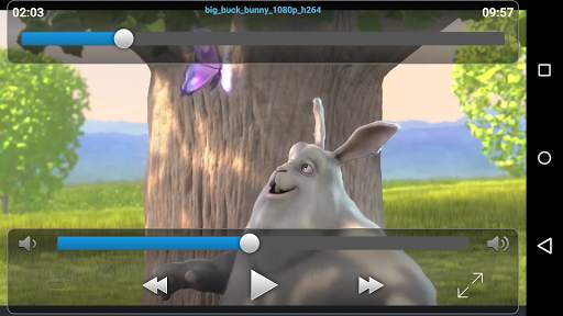 VLC Streamer screenshot 2