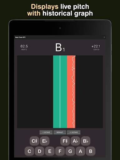 Bass Tuner BT1 screenshot 13