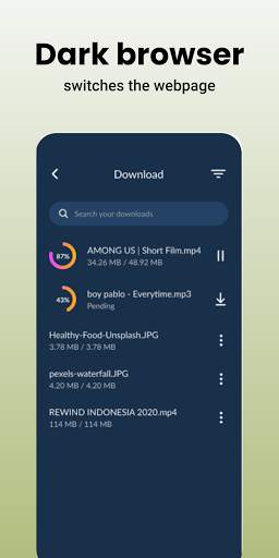 Dark-browser security and privacy screenshot 3
