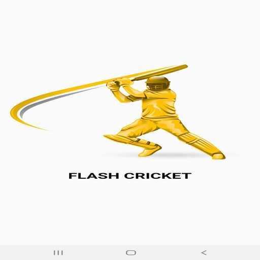 Flash Cricket fastest cricket Score 3.1