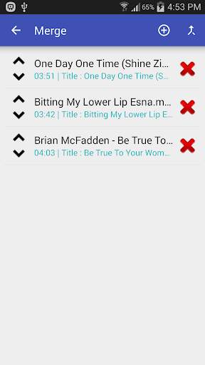 Video to MP3 Converter screenshot 6