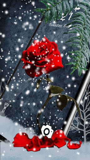 Red Rose Heart APUS Live Wallpaper screenshot 3