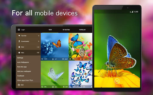 Butterfly Wallpapers 4K screenshot 5