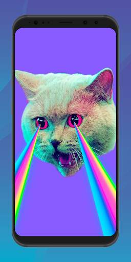 Funny MEME Wallpaper HD 4K screenshot 4