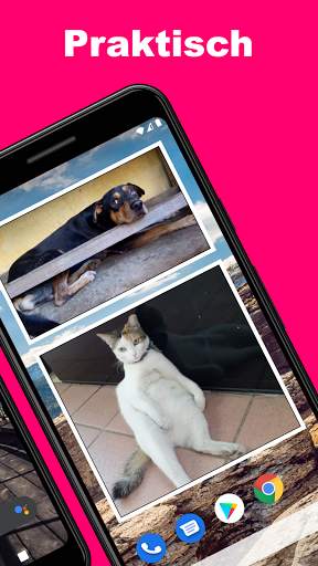 Photo Widget + screenshot 2