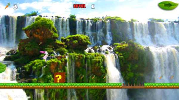 The Bunny Game-Run Run Run 2 D screenshot 19