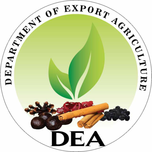 DEA أيقونة