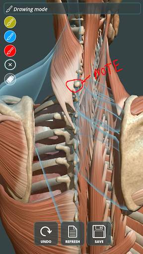 Visual Anatomy 3D | Human screenshot 3