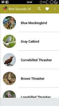 American Bird Sounds screenshot 5