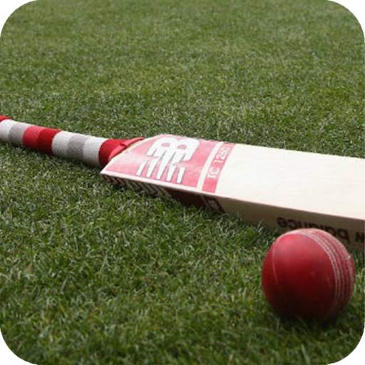 Cricket Bat Full HD Wallpaper 1.08
