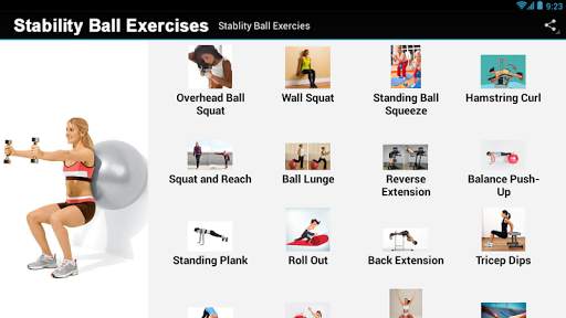 Stability Ball Exercises screenshot 3