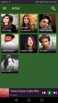 Pakistani Singers Songs MP3 | Offline screenshot 1