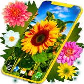 HD Summer Live Wallpaper icon