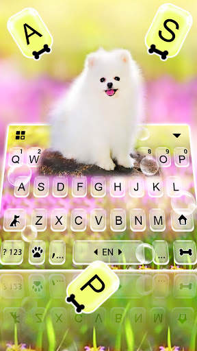 Cute White Dog कीबोर्ड पृष्ठभूमि स्क्रीनशॉट 2