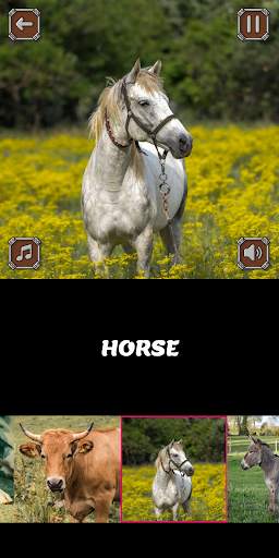 Kids Learn Animals Sounds & Animals English Names скриншот 3