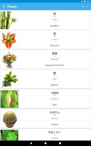 Japanese Vocabulary By Topics (With Pictures) скриншот 20