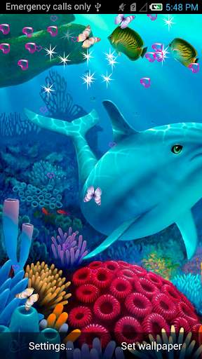 Dolphin Live Wallpaper screenshot 1