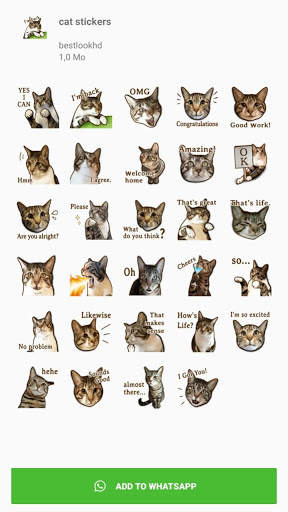 Funny Cat stickers - WAstickerapps स्क्रीनशॉट 4