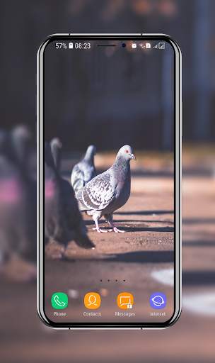 New Pigeon Wallpaper screenshot 11