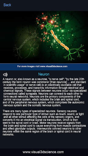 My Brain Anatomy screenshot 5
