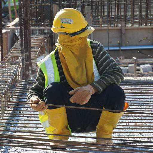 Foreigner Worker Status 1.0