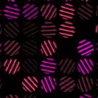 Glimmer Live Wallpaper logo