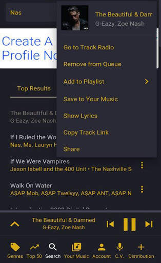 PVE Music Xstream screenshot 15
