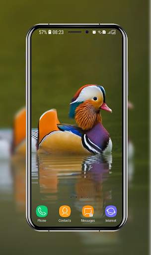 Birds Wallpaper screenshot 13