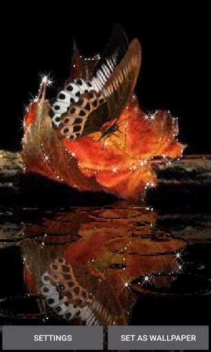 Leaf Butterfly Live Wallpaper screenshot 1